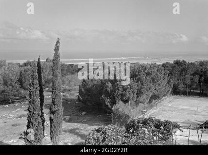 Die Vintage-Saison bei Zikh'ron Ya'aqov, 24. Juli 1939. Dora Schawrz's Recreation House, Zikhron Ya'akov Ca. 1939 Stockfoto