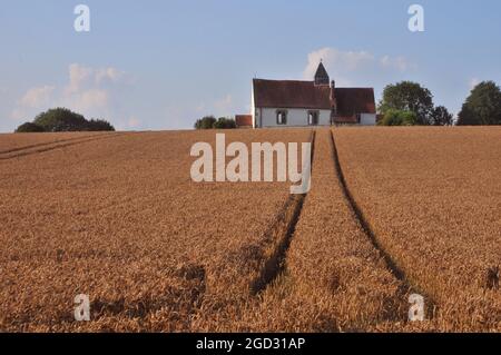 ST. HUBERTS CHURCH, IDSWORTH, HAMPSHIRE, UMGEBEN VON WEIZENFELDERN. PIC MIKE WALKER 2021 Stockfoto