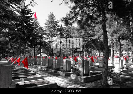 Grabsteine türkischer Soldaten KIA (Killed in Action) mit roten türkischen Flaggen auf dem Luftwaffenmärtyrertum Monochrom mit rotem Filter Eskisehir/Türkei Stockfoto