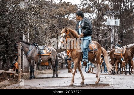 BAGUIO, PHILIPPINEN - 19. Dez 2017: Ein Reiter auf einem Pferd in Baguio City, Philippinen Stockfoto