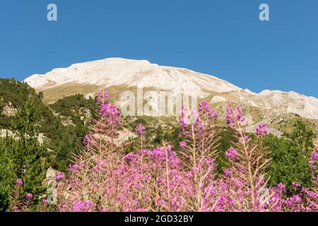 Der zweithöchste in Bulgarien Vihren Peak aus Sicht der Vihren Hütte im Pirin Nationalpark und Naturschutzgebiet, Pirin Berg, Bulgarien, Balkan, Europa Stockfoto