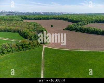 Grüne Sommer ländliche Landschaft mit Weide, Feldfeldern, Straßenlinien und Wald um. Luftlandschaft an sonnigen Tag Stockfoto