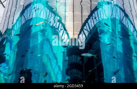 Nahaufnahme des AquaDom im Radisson Blue Hotel, Berlin, Deutschland Stockfoto