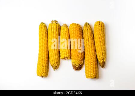 Gekochter gelber Mais auf weißem Hintergrund. Textur. Kreatives Essen. Kornschwankungen. Ganze und Teile von Mais. Ökologisches Lebensmittelkonzept. Selektiv Stockfoto