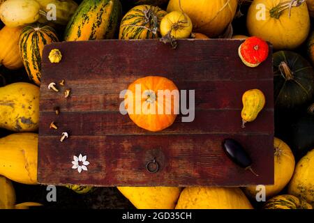 Herbstrahmen Zusammensetzung und Layout aus Kürbissen, Pilzen, Auberginen, Samen alter antiker Hintergrund Draufsicht, flacher Lay- und Kopierraum Ernte Stockfoto