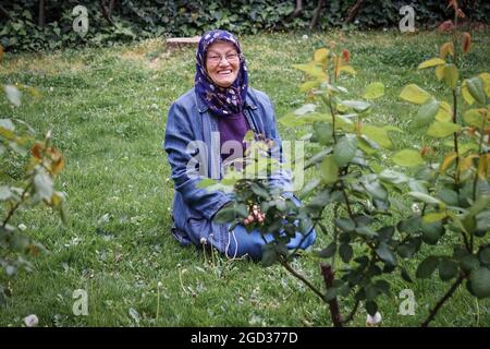 Ältere muslimische Frau in einem öffentlichen Park, die auf Gras von Rosenpflanzen sitzt. Sie lacht und ist sehr glücklich. Konzept der glücklichen muslimischen älteren Frau Stockfoto