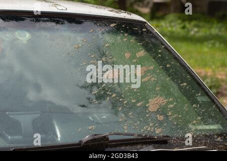 Schmutziges Autoglas. Schmutz auf der Windschutzscheibe. Auto nach der Reise. Glas mit klebrigem Sand. Stockfoto