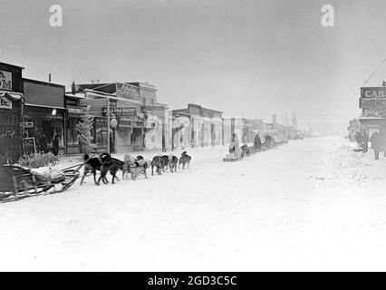 Das Hundeteam verließ Anchorage, Alaska; diese Teams trugen zwischen 1909 und 1920 etwa 265.000 Goldbarren Stockfoto