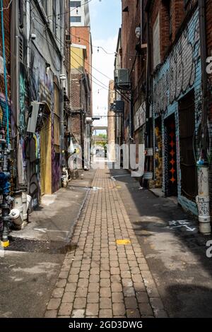 Kunst und Graffiti bedecken eine berühmte Gasse in der Nähe des Marktplatzes in Knoxville, Tennessee. Stockfoto