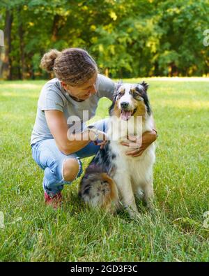 Glückliche Frau sitzt umarmt mit jungen schönen australischen Schäferhund auf der Wiese Stockfoto