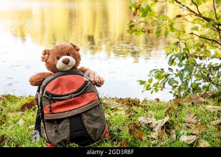 Kleiner Rucksack mit weichem Teddybär Stockfoto