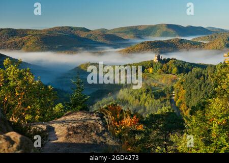 FRANKREICH, BAS-RHIN (67), REGIONALER NATURPARK NORDVOGESEN, LEMBACH, SCHLOSS FLECKENSTEIN, UMGEBEN VON HERBSTNEBEL Stockfoto