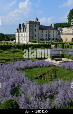 FRANKREICH, INDRE ET LOIRE (37) CHATEAU DE VILLANDRY, GÄRTEN, DER ZIERGARTEN IM VORDERGRUND Stockfoto