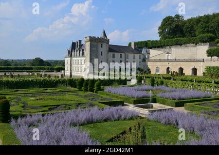 FRANKREICH, INDRE ET LOIRE (37) CHATEAU DE VILLANDRY, GÄRTEN, DER ZIERGARTEN IM VORDERGRUND Stockfoto