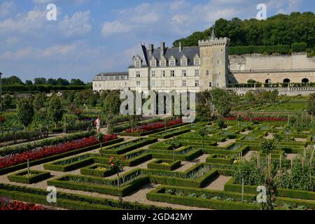 FRANKREICH, INDRE ET LOIRE (37) CHATEAU DE VILLANDRY, GEMÜSEGARTEN Stockfoto