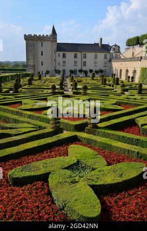 FRANKREICH, INDRE ET LOIRE (37) CHATEAU DE VILLANDRY, GÄRTEN, DER ZIERGARTEN Stockfoto
