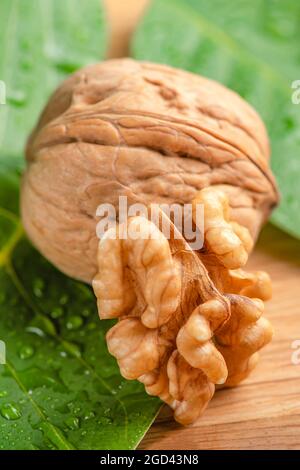 Walnuss. Walnussfrüchte liegen auf grünen Blättern mit Wassertropfen. Grüne Walnussblätter auf einem hölzernen Hintergrund. Stockfoto