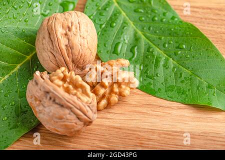 Walnuss. Walnussfrüchte liegen auf grünen Blättern mit Wassertropfen. Grüne Walnussblätter auf einem hölzernen Hintergrund. Stockfoto