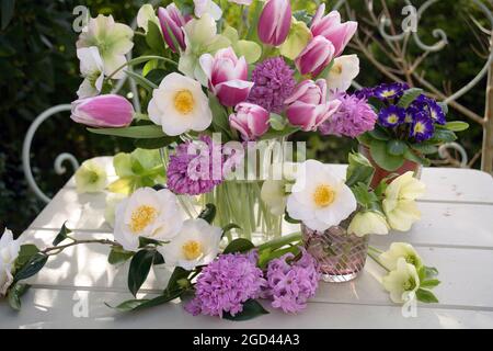botanik, Tulpen, Kamelien, Polyanthus, Hellebores und Hyazinthe in Glasvasen auf einem Tisch im Freien, ZUSÄTZLICHE-RIGHTS-CLEARANCE-INFO-NOT-AVAILABLE Stockfoto