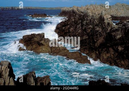 FRANKREICH, FINISTERE (29), OUESSANT ISLAND UND SEINE WILDE KÜSTE, BRETAGNE. Stockfoto