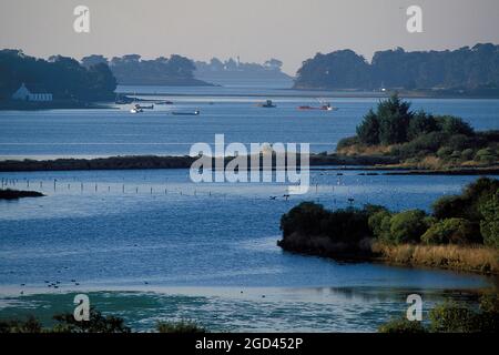 FRANKREICH, MORBIHAN (56), GOLF VON MORBIHAN, IM HINTERGRUND ARZON, HAFEN NAVALO UND SEIN LEUCHTTURM, DER EIN ALTER HAFEN FÜR FISCHEREI UND PIRATENTUM AN DER KÜSTE IST, Stockfoto