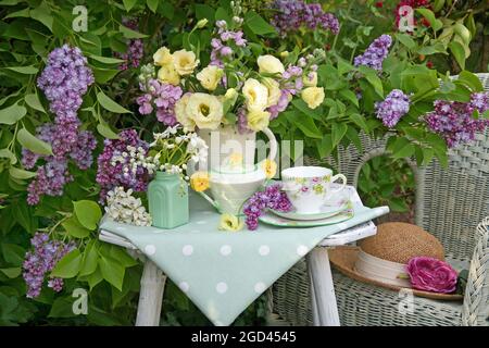 BOTANIK, ADDITIONAL-RIGHTS-CLEARANCE-INFO-NOT-AVAILABLE Stockfoto