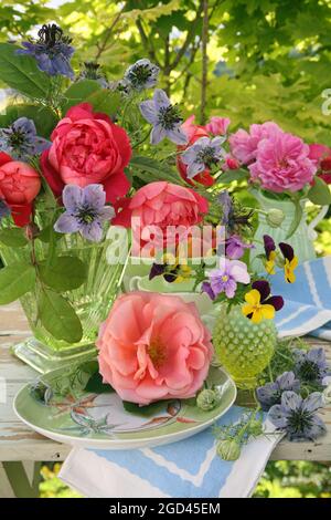 botanik, Rosen, centaurea Cyanus und Stiefmütterchen in Glasvasen auf einem Tisch im Garten, ZUSÄTZLICHE-RIGHTS-CLEARANCE-INFO-NOT-AVAILABLE Stockfoto