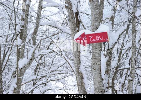 FRANKREICH, HAUTE-SAVOIE (74) REGION CHABLAIS, SKIGEBIET PORTES DU SOLEIL, DORF UND SKIGEBIET MORZINE, TAL MANCHE, RESTAURANT SIGN Stockfoto