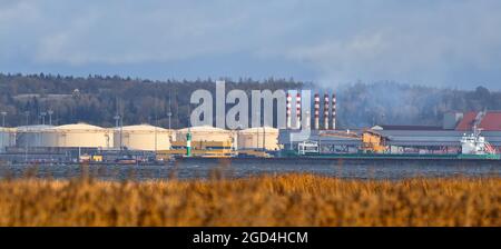 USt-Luga-Ölterminal, baltisches Rohrleitungssystem. Russland. Blick vom Meer und Schilf Stockfoto