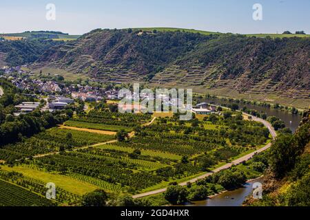 Blick auf die berühmten Weinberge im Moselgebiet. Die Mosel ist ein Westufer des Rheins und fließt 545 km lang durch den Nordosten Frankreichs und Westdeutschlands. Der Fluss mündet in Deutschland und fließt an Trier vorbei bis zum Zusammenfluss mit dem Rhein bei Koblenz. In diesem Bereich des Tals befinden sich die Weinberge, aus denen die berühmten Moselweine hergestellt werden. Stockfoto