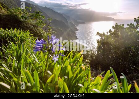 Geographie / Reisen, Portugal, Madeira, Nordküste bei Sao Jorge, Miradouro da Vigia, ZUSÄTZLICHE-RIGHTS-CLEARANCE-INFO-NOT-AVAILABLE Stockfoto