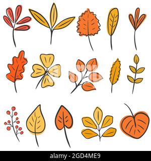 Set von Herbstblättern Handzeichnung. Vektor isolierte Blätter von Ahorn, Birke, Eiche und Pflanzen. Illustration der botanischen Elemente des Herbstes. Bettsammlung Stock Vektor