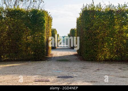 Einige Details des Parks und der Außenfassade des Savoy Royal Palace von Venaria reale, etwas außerhalb von Turin Stockfoto