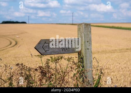 Holzschild für Centenary Way Fußweg in Nahaufnahme an einem sonnigen Tag mit Weizenfeld Hintergrund Stockfoto