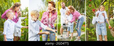 Collage aus Bildern von glücklicher Familie, Vater, Mutter und Sohn beim Apfelsammeln in einem Garten im Freien. Aktives Lifestyle-Konzept. Stockfoto