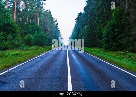 Leere ländliche Foggy Road mit klaren weißen Linien in einem Waldgebiet am frühen Morgen Stockfoto