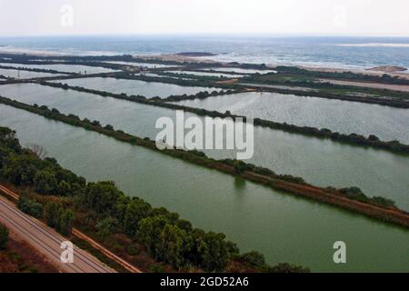 Landwirtschaftliche Fischteiche auf den Küstenebenen, Israel Stockfoto