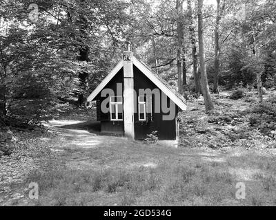 Ein kleines unbewohntes Haus im Wald in Schwarz und Weiß Stockfoto