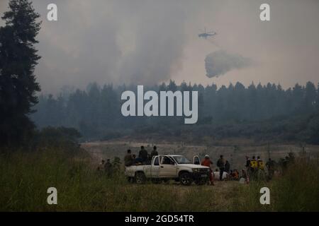 Griechenland - Euboa Island, 09/08/2021, Griechenland - Euboa Island, Feuer in Kamatriades im Norden der griechischen Insel Euboa (Evia). Feuerwehrleute und Bewohner im Norden der griechischen Insel Evia kämpfen gegen ein Wiederaufleben des Feuers, nachdem sie versucht haben, die Fronten auf der Nordostseite der Insel zu begrenzen. Montag, 9. August 2021. Stockfoto