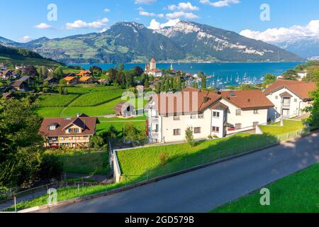 Typisches Schweizer Dorf Spiez am Ufer des Thunersees. Schweiz. Stockfoto