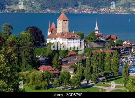 Typisches Schweizer Dorf Spiez am Ufer des Thunersees. Schweiz. Stockfoto