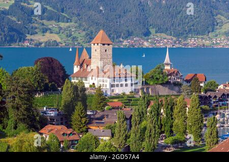 Typisches Schweizer Dorf Spiez am Ufer des Thunersees. Schweiz. Stockfoto