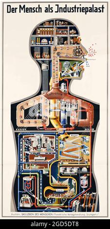 Der Mensch als Industriepalast, ein lebensgroßes Plakat, das 1926 vom deutschen Arzt und Autor Fritz Kahn in Auftrag gegeben wurde. Stockfoto