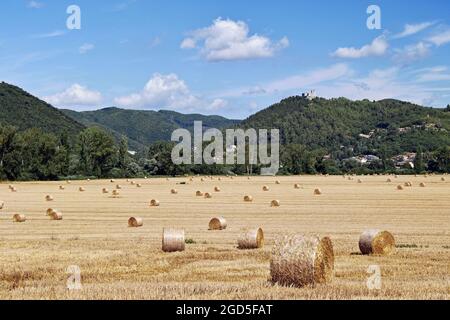 Sommer, Jobs auf den Feldern, Heu ernten Stockfoto