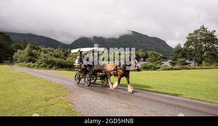 Jaunting Autos im Muckross House Killarney Stockfoto