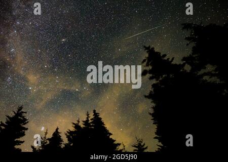 Fichte Knob, Usa. August 2021. Bei dieser 30-Sekunden-Aufnahme streift ein Meteor während des jährlichen Perseid-Meteorschauers am Mittwoch, den 11. August 2021, in Fichte Knob über den Himmel. West Virginia. NASA Foto von Bill Ingalls/UPI Quelle: UPI/Alamy Live News Stockfoto