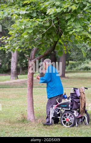 Ein nicht identifizierbarer 86-jähriger chinesischer amerikanischer Anhänger von Falun Gong macht langsame Übungen vor einem Baum in einem Park in Queens, New York City Stockfoto