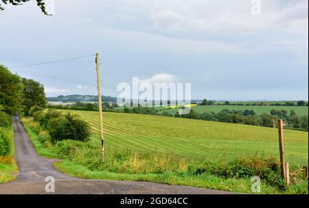 Somerset-Landschaft im Mendip-Viertel in der Nähe von Wells, Großbritannien, mit typischer kleiner Landstraße Stockfoto