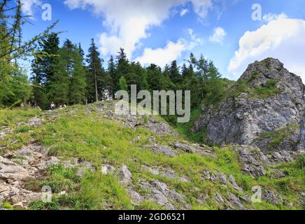 Berglandschaft im Sommer. Blick von Nosal im Nationalpark Bieszczady, Polen Stockfoto