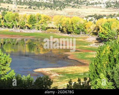 Herbstansicht über das weite Hollow Reservoir des Petrified Forest State Park, Escalante, Utah, USA, umrandet von Frémonts Baumwollholz Stockfoto